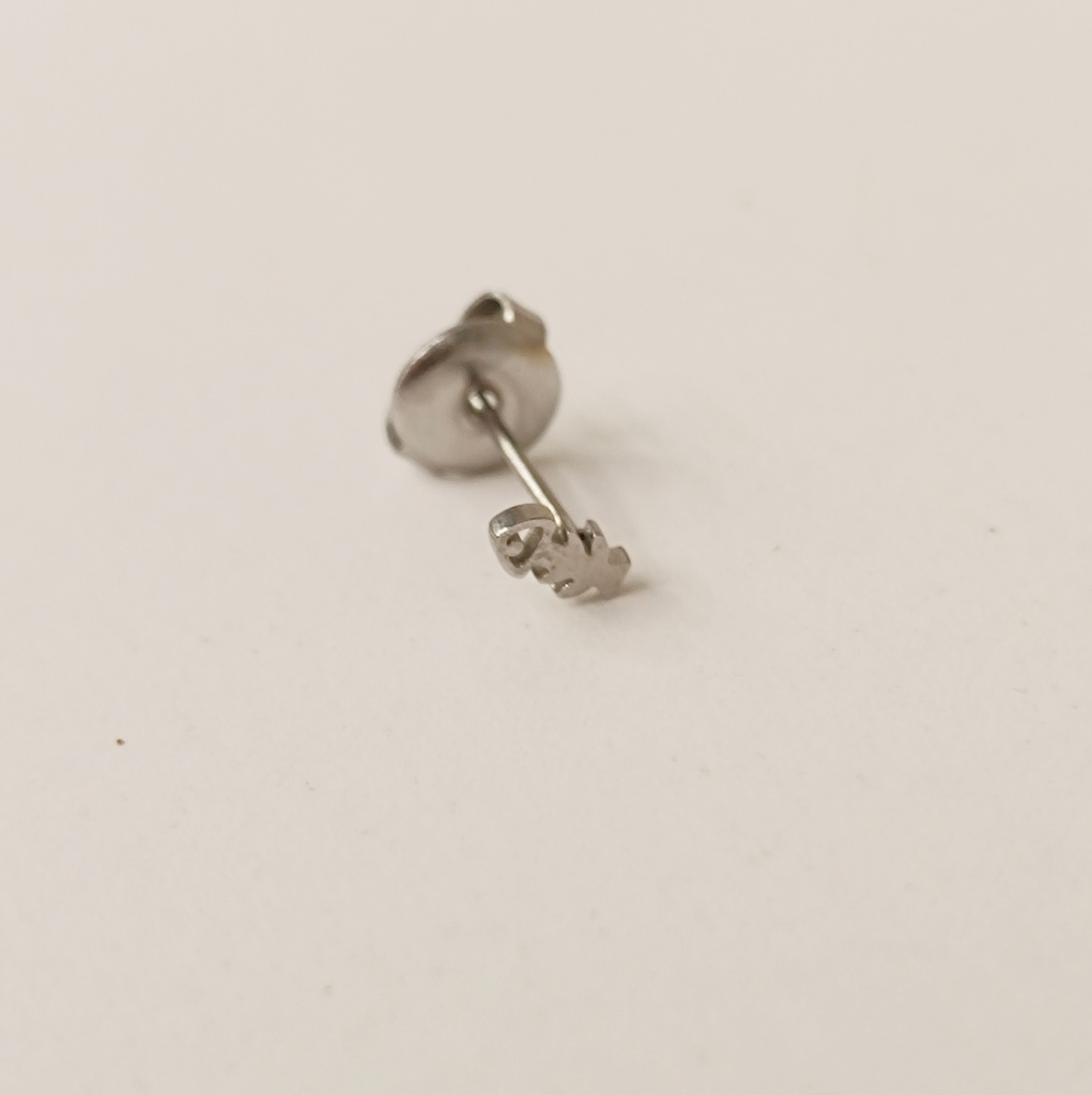 Pendiente Mini Raspa Plateado