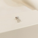 Pendiente Flor Plateado