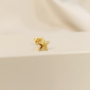 Pendiente Estrella Grande 3D Dorado