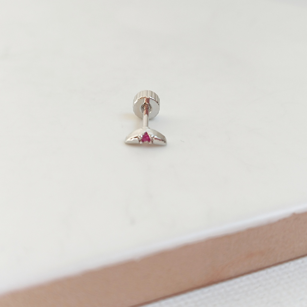 Pendiente Circonita Fucsia Plateado (Rosca)