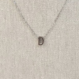 Collar Inicial Plateada Gruesa Letra "D"
